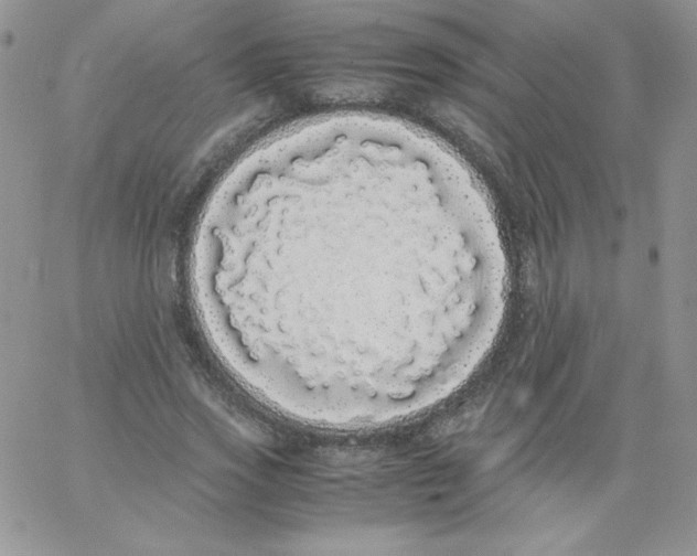 X0000062900733200602031831