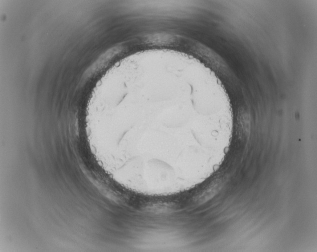 X0000062900734200602031831