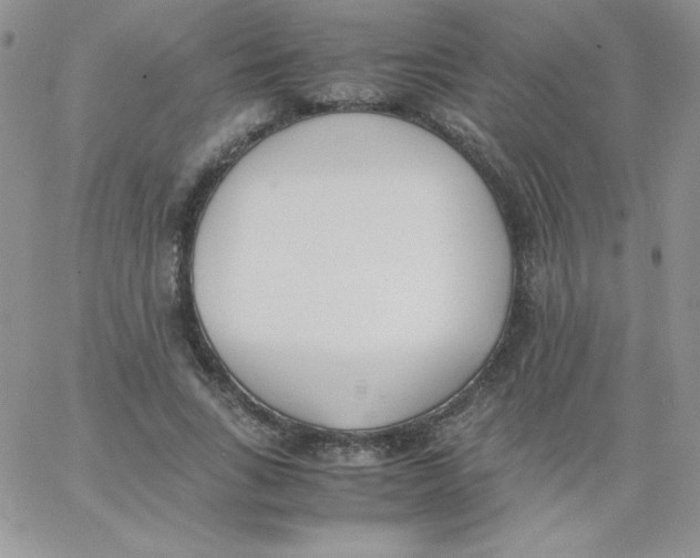 X0000062900735200602031831