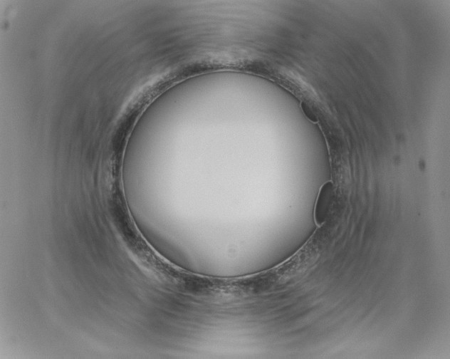 X0000062900736200602031831