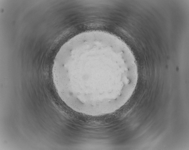 X0000062900737200602031831