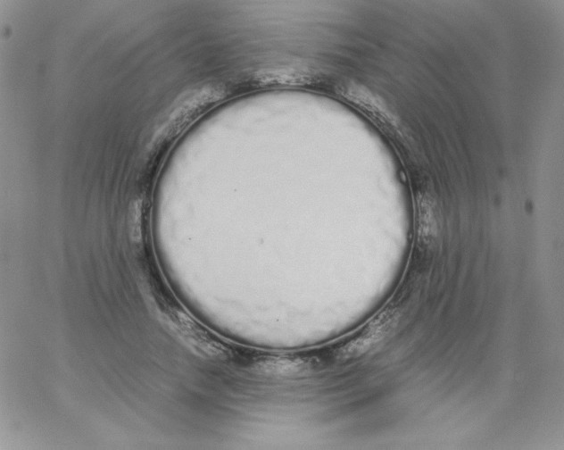 X0000062900738200602031831