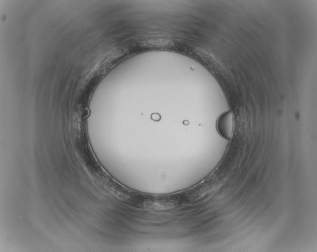 X0000062900739200602031831