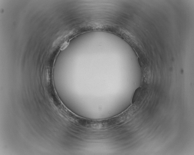 X0000062900740200602031831