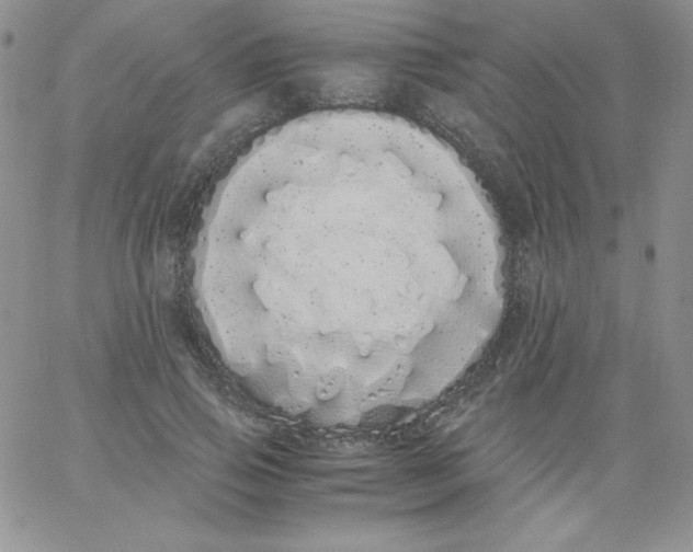 X0000062900741200602031831