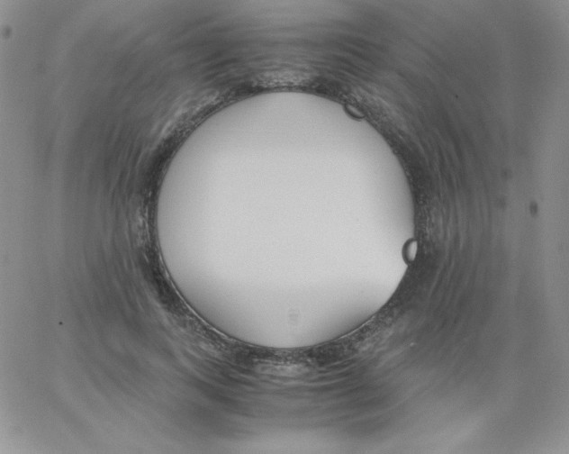 X0000062900743200602031831