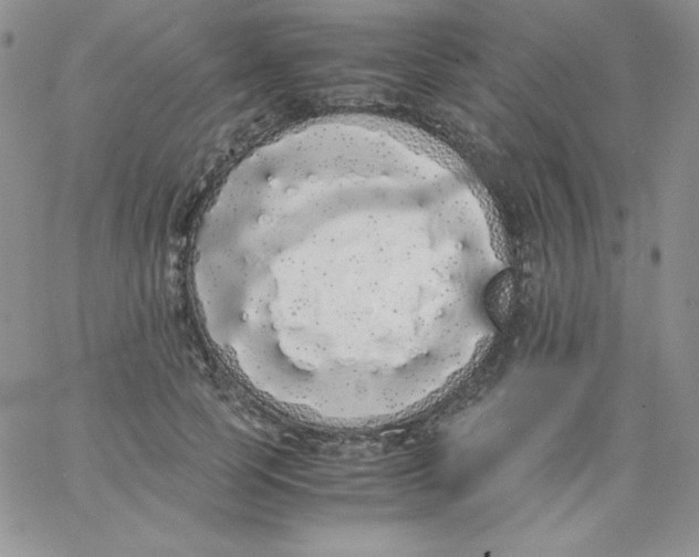 X0000062900745200602031832