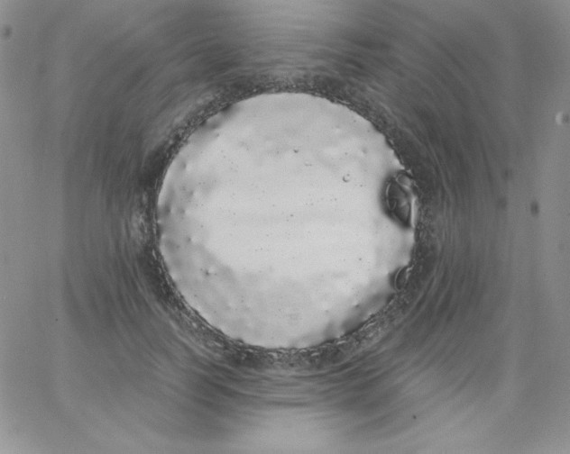 X0000062900746200602031832