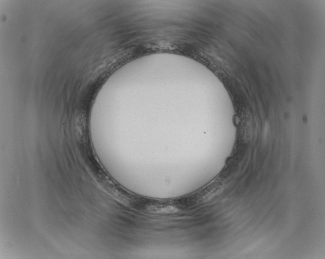 X0000062900747200602031832