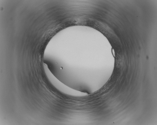 X0000062900748200602031832