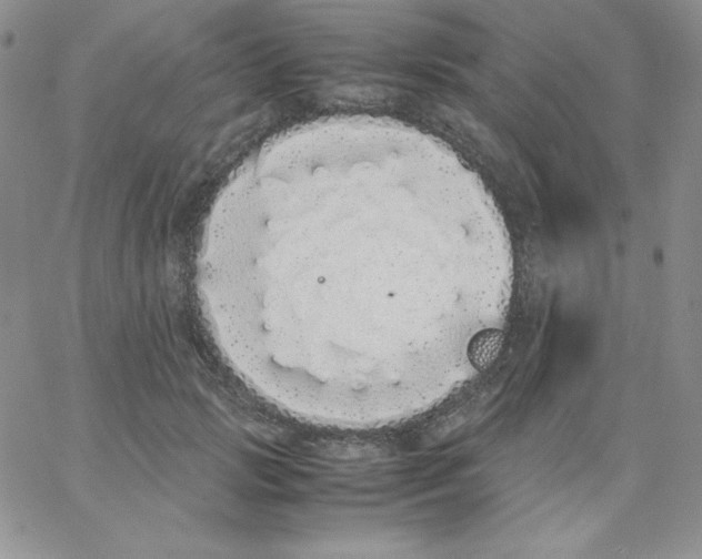 X0000062900749200602031832