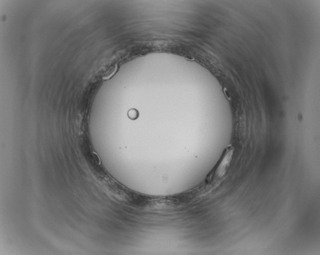 X0000062900750200602031832