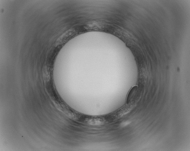 X0000062900751200602031832