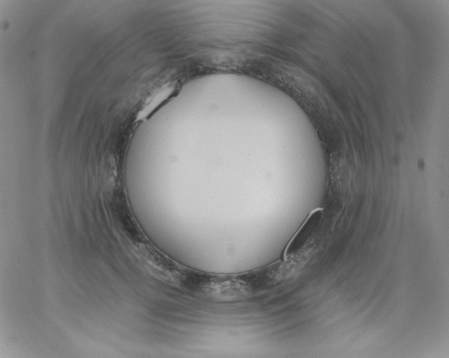 X0000062900752200602031832