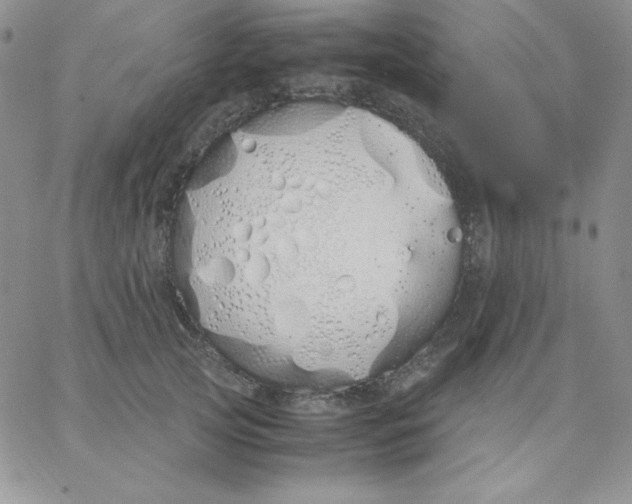 X0000062900753200602031832