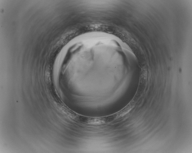 X0000062900754200602031832