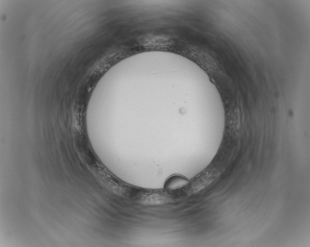 X0000062900755200602031832