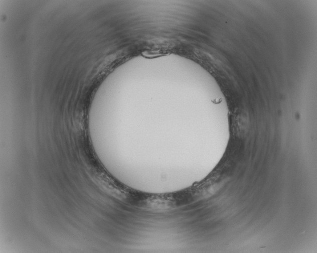 X0000062900756200602031832