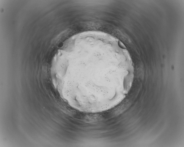 X0000062900757200602031832