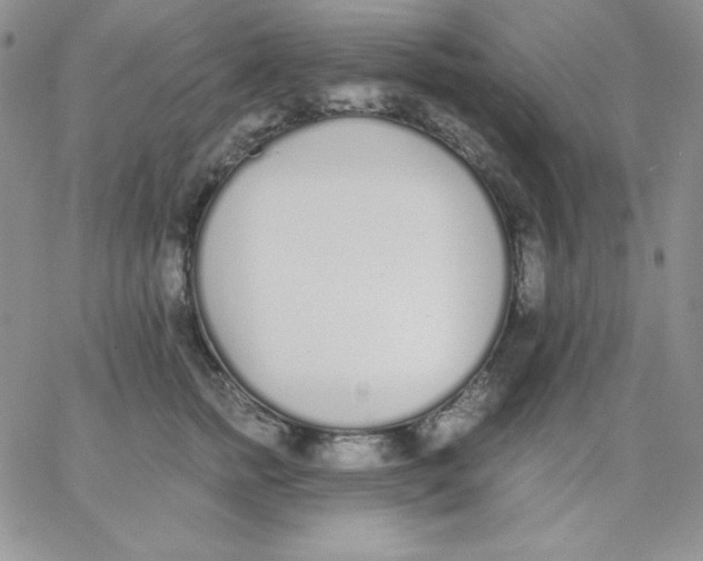 X0000062900758200602031832