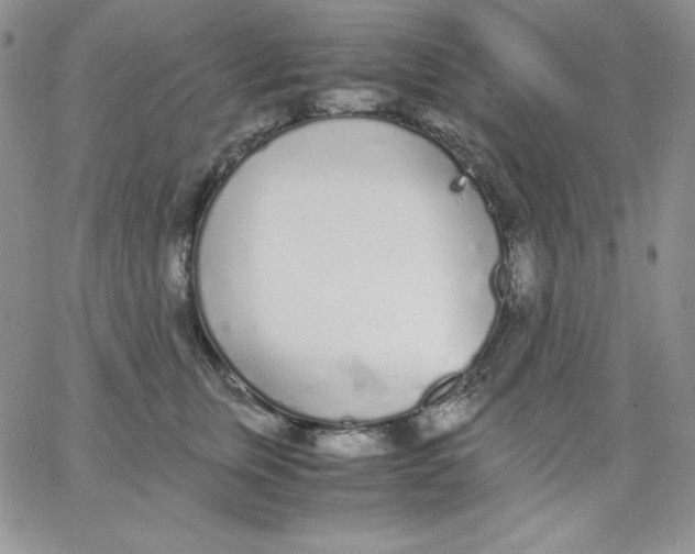 X0000062900759200602031832