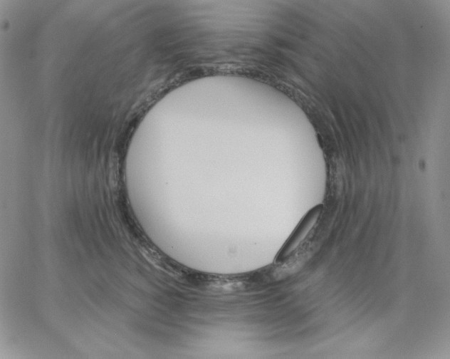 X0000062900760200602031832