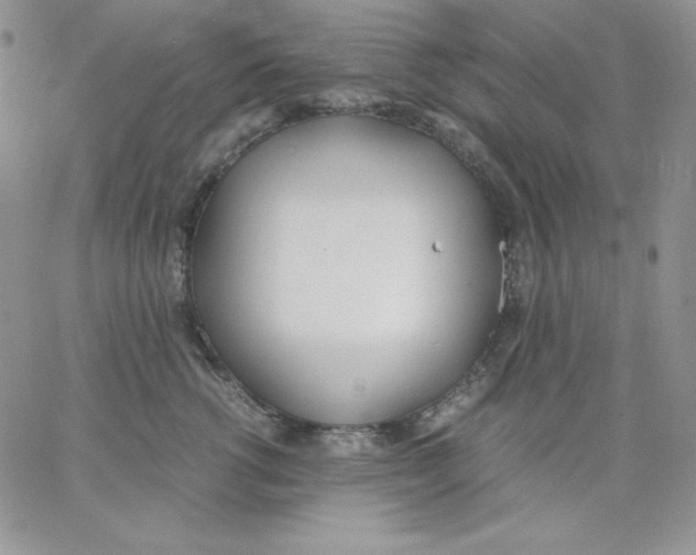 X0000062900762200602031832