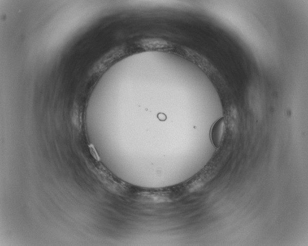 X0000062900763200602031832