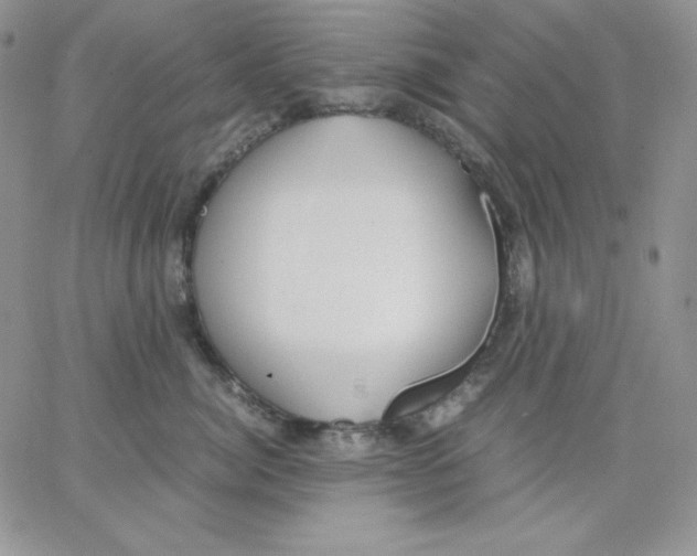 X0000062900764200602031832