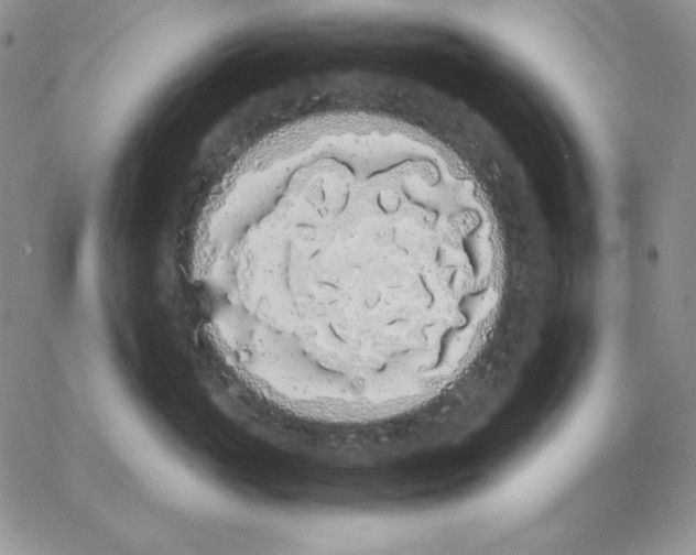 X0000062900765200602031832