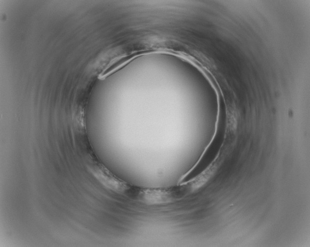 X0000062900766200602031832