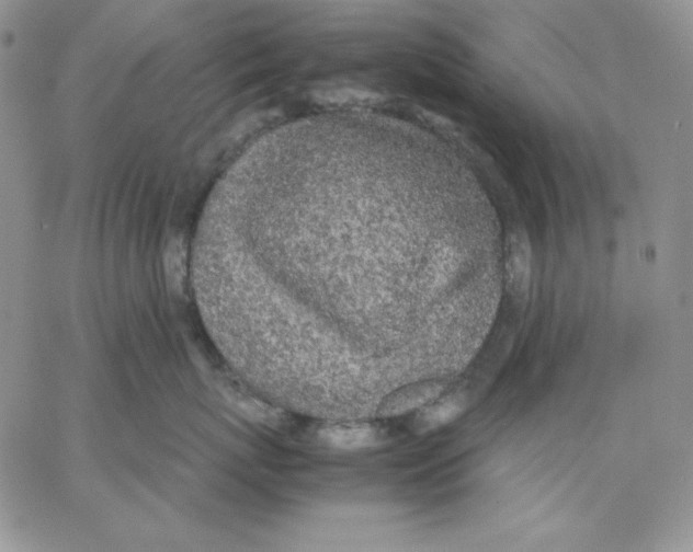 X0000062900767200602031832