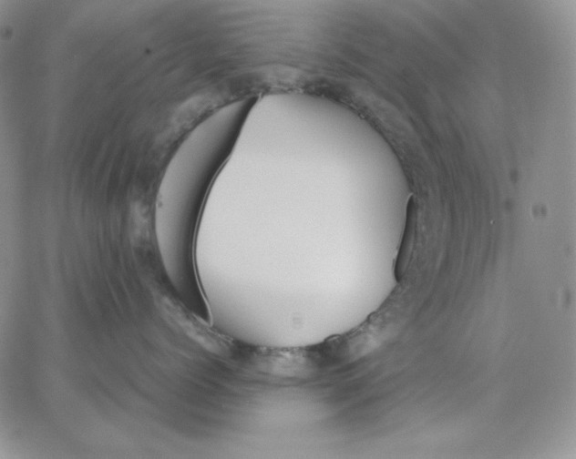 X0000062900768200602031832