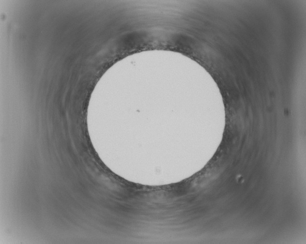 X0000062900769200602031831