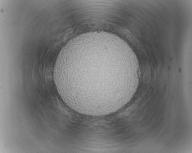 X0000062900770200602031831