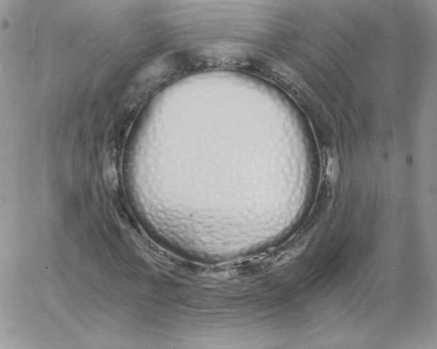 X0000062900771200602031831