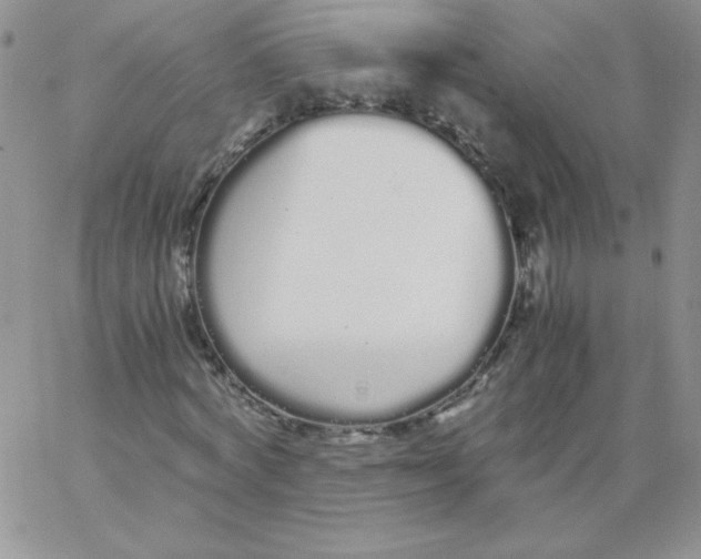 X0000062900772200602031831