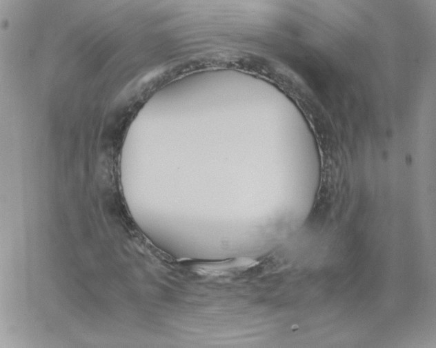 X0000062900773200602031831