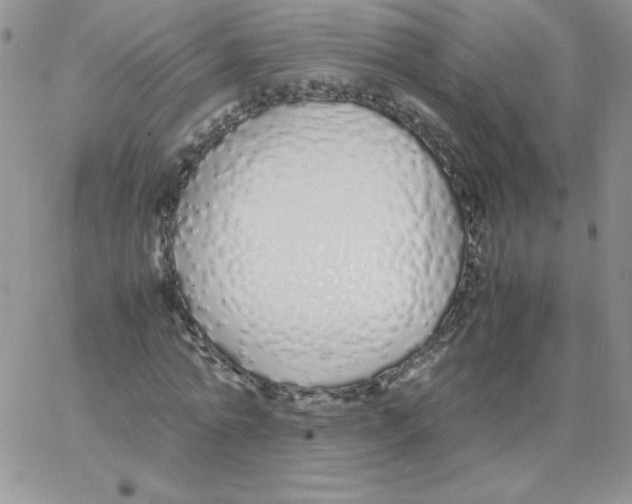 X0000062900774200602031831