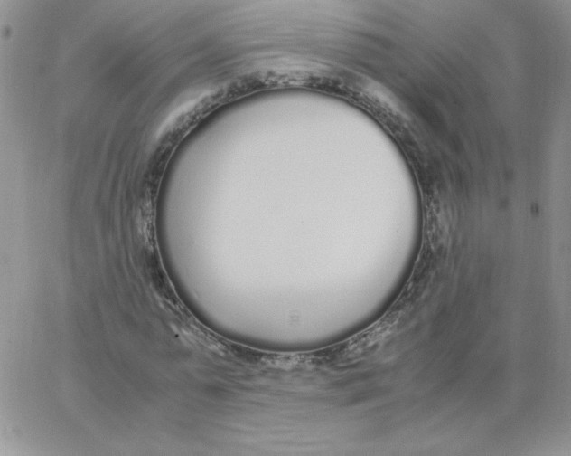 X0000062900775200602031831