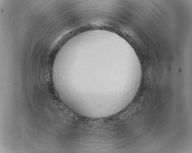 X0000062900776200602031831