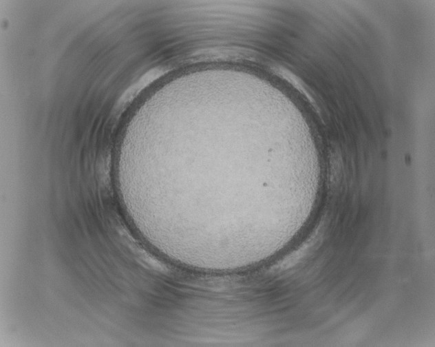 X0000062900778200602031831