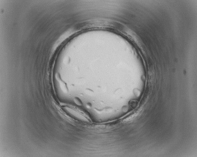 X0000062900779200602031831