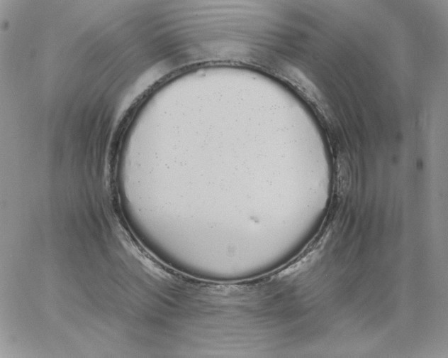 X0000062900780200602031831