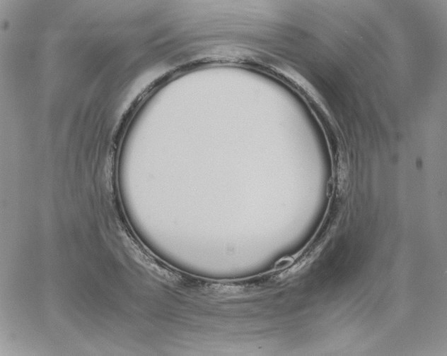 X0000062900783200602031831