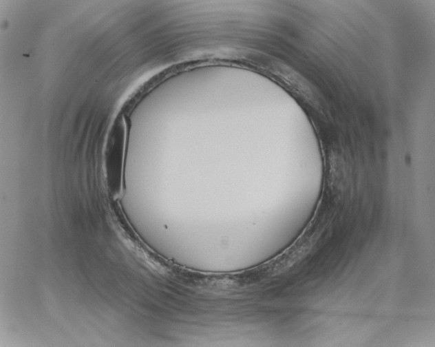 X0000062900784200602031831