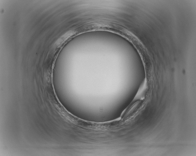 X0000062900785200602031831