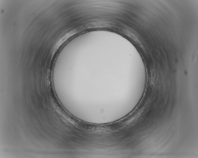 X0000062900786200602031831