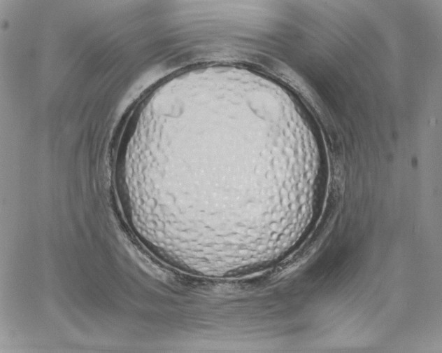 X0000062900787200602031831