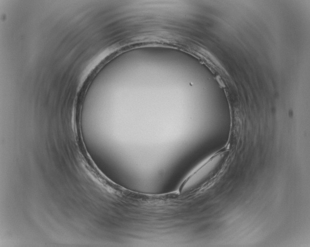 X0000062900788200602031831